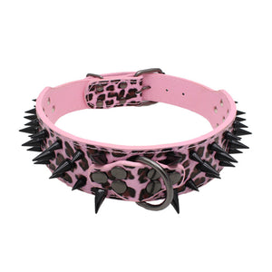 ToughPup Collar – Built to Last, Bite-Proof Design