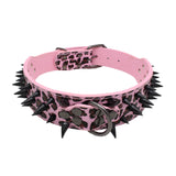 ToughPup Collar – Built to Last, Bite-Proof Design