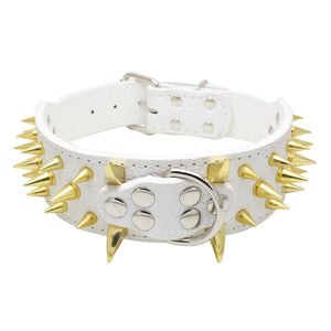 ToughPup Collar – Built to Last, Bite-Proof Design