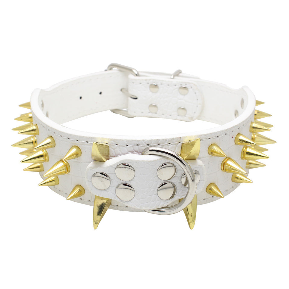 ToughPup Collar – Built to Last, Bite-Proof Design