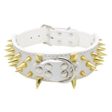 ToughPup Collar – Built to Last, Bite-Proof Design