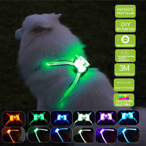 USB LED Dog Collar – Rechargeable Luminous Pet Collar
