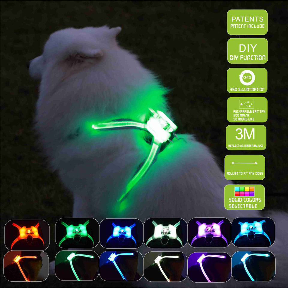 USB LED Dog Collar – Rechargeable Luminous Pet Collar