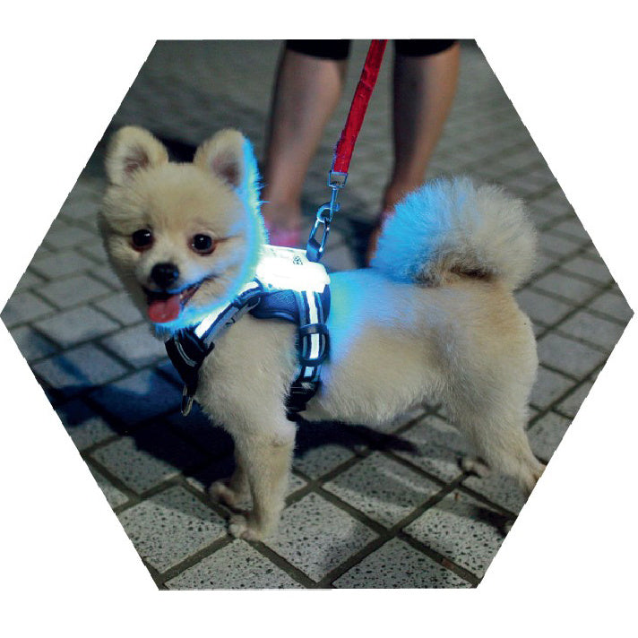 USB LED Dog Collar – Rechargeable Luminous Pet Collar