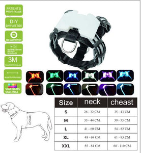 USB LED Dog Collar – Rechargeable Luminous Pet Collar
