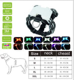 USB LED Dog Collar – Rechargeable Luminous Pet Collar