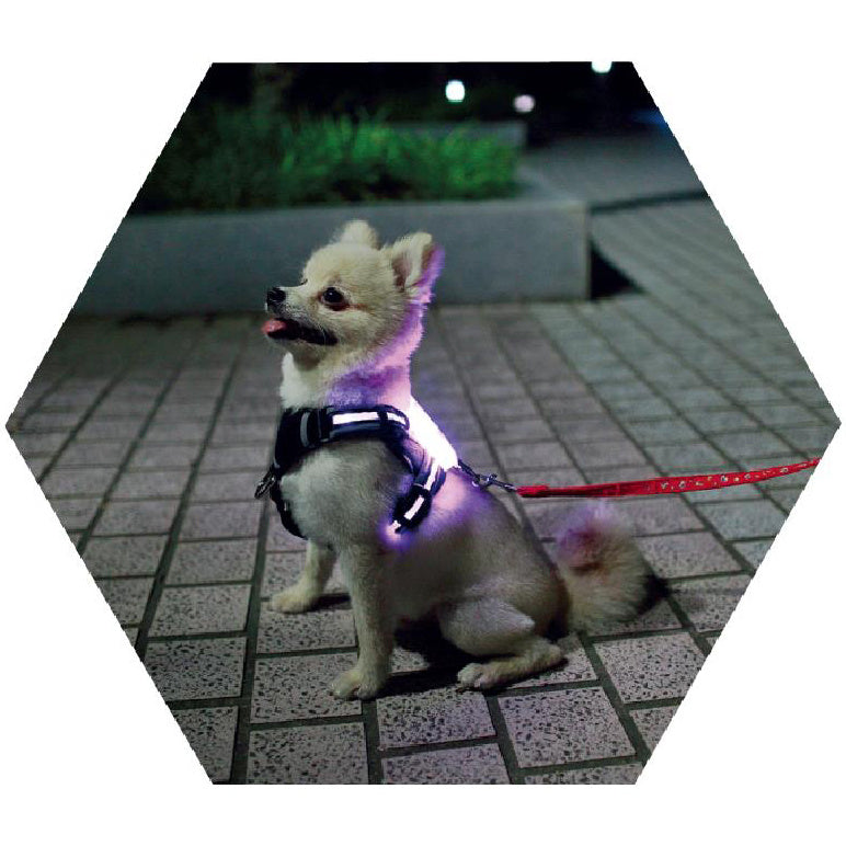 USB LED Dog Collar – Rechargeable Luminous Pet Collar