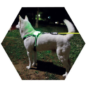 USB LED Dog Collar – Rechargeable Luminous Pet Collar