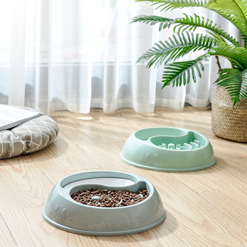 Mess-Free Dog Basin for Safe Eating and Happy Hydration
