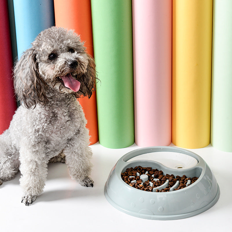 Mess-Free Dog Basin for Safe Eating and Happy Hydration