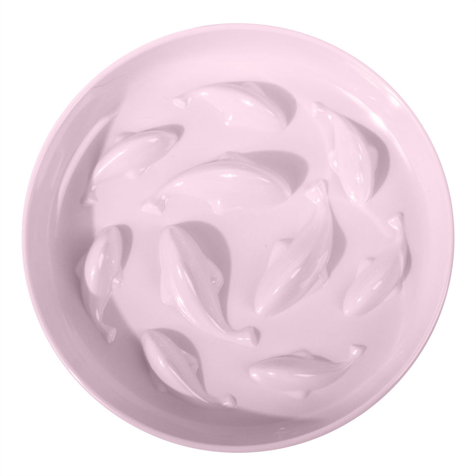 Dogs & Cats Slow Eating Bowl – Easy Feed
