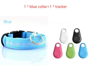 GlowSafe LED Dog Collar – Night Walks Made Bright
