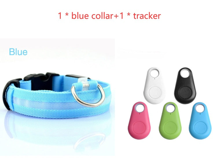 GlowSafe LED Dog Collar – Night Walks Made Bright