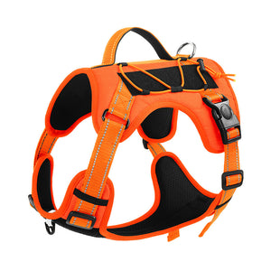 Reflective Dog Harness with Strong Leash for Safe Walks