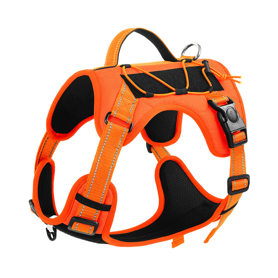 Reflective Dog Harness with Strong Leash for Safe Walks
