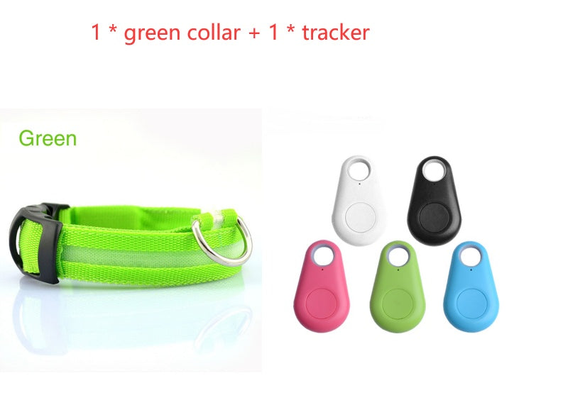 GlowSafe LED Dog Collar – Night Walks Made Bright