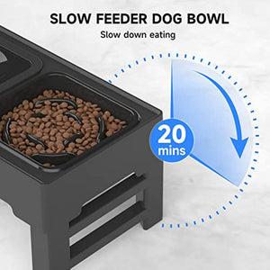 Raised Dog Feeder with Slow Bowl & Water Dish