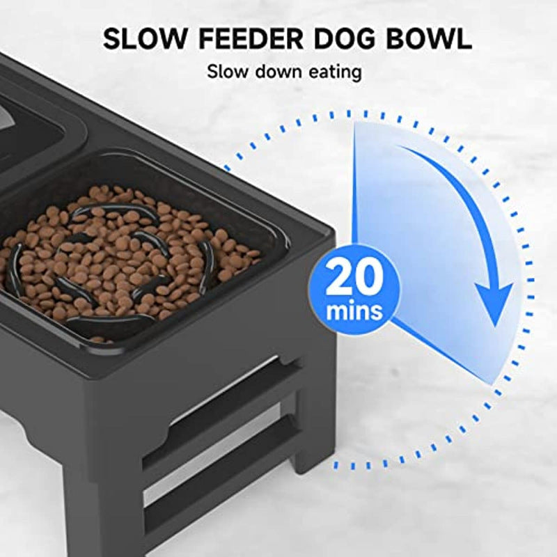 Raised Dog Feeder with Slow Bowl & Water Dish