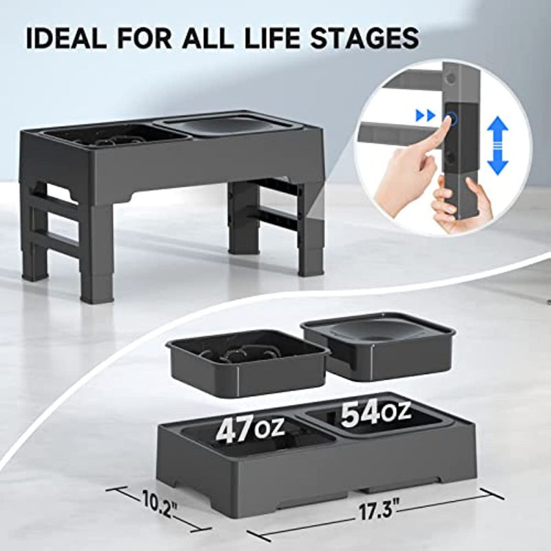 Raised Dog Feeder with Slow Bowl & Water Dish