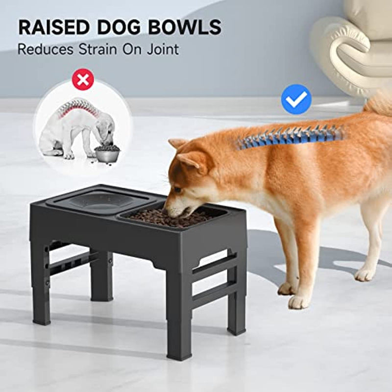 Raised Dog Feeder with Slow Bowl & Water Dish
