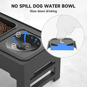 Raised Dog Feeder with Slow Bowl & Water Dish