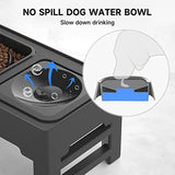 Raised Dog Feeder with Slow Bowl & Water Dish