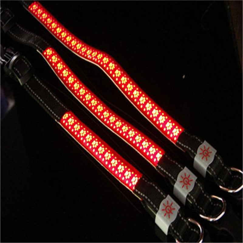 BrightTail LED Collar – Be Seen, Stay Safe