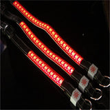 BrightTail LED Collar – Be Seen, Stay Safe