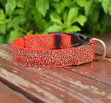 Adjustable LED Dog Collar – Bright and Fashionable