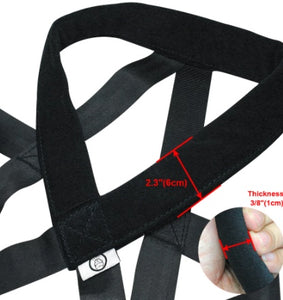 Dog Training Leash and Chest Strap for Better Control