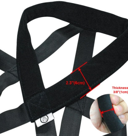 Dog Training Leash and Chest Strap for Better Control