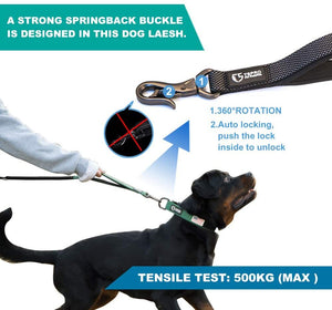 Durable Dog Leash for Running, Walking, and Travel