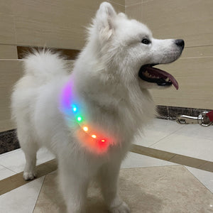 Flashing LED Pet Collar – Keep Pets Safe Outdoors