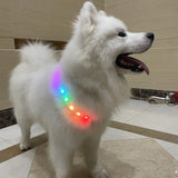 Flashing LED Pet Collar – Keep Pets Safe Outdoors