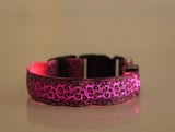 Adjustable LED Dog Collar – Bright and Fashionable