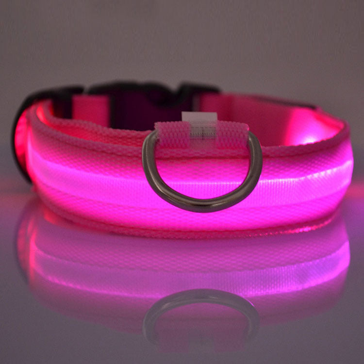 GlowSafe LED Dog Collar – Night Walks Made Bright