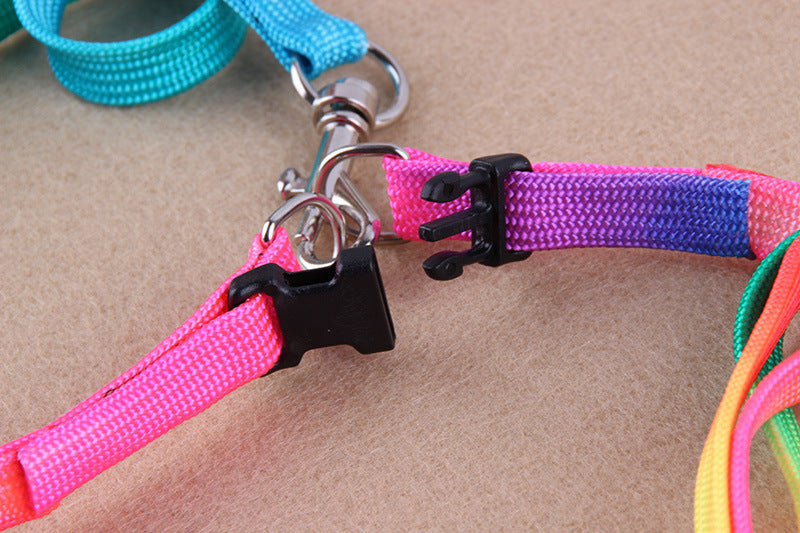 Vibrant Dog Leashes to Make Walks Fun