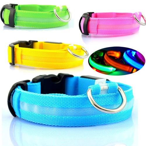 GlowSafe LED Dog Collar – Night Walks Made Bright