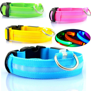 GlowSafe LED Dog Collar – Night Walks Made Bright