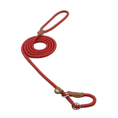 Strong P-Type Dog Collar with Reliable Leash