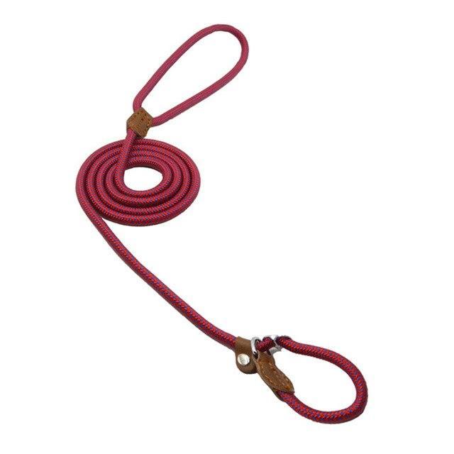 Strong P-Type Dog Collar with Reliable Leash