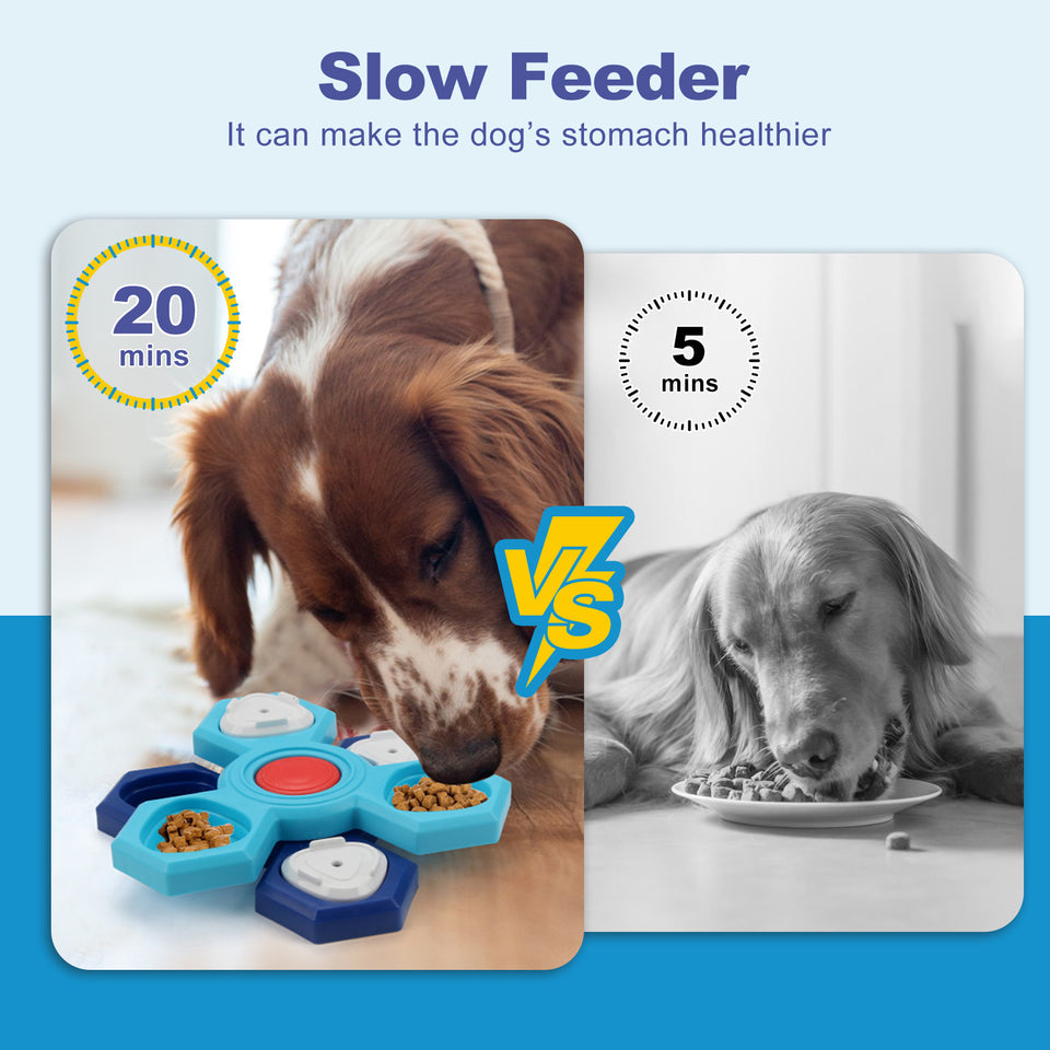 4-Layer Slow Feeder Bowl – Fun Mealtime for Dogs