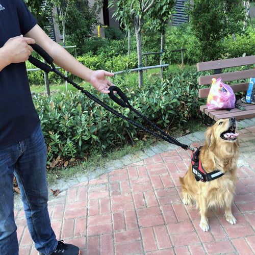 Durable Explosion-Proof Leash for Active Dogs