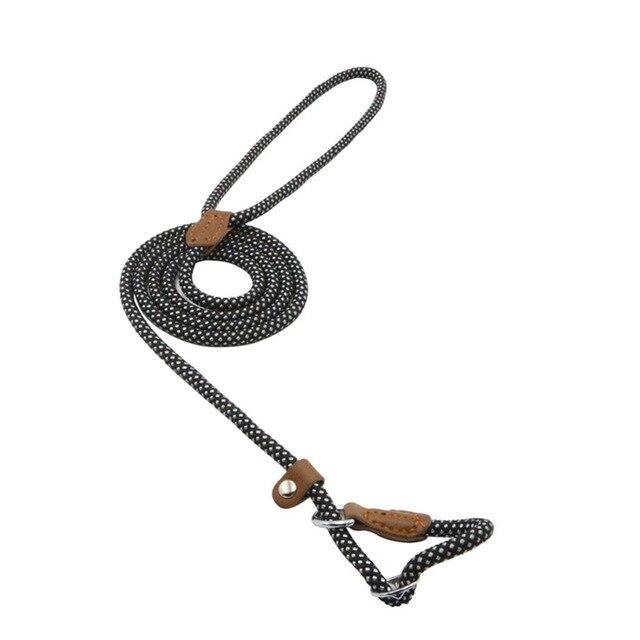 Strong P-Type Dog Collar with Reliable Leash