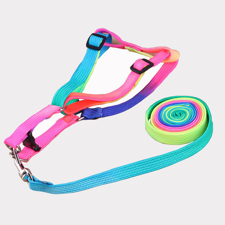 Vibrant Dog Leashes to Make Walks Fun