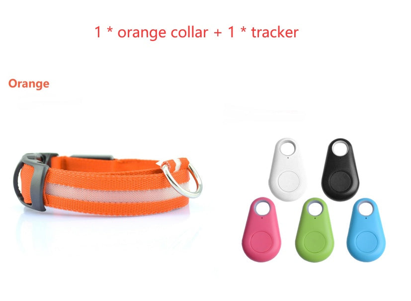 GlowSafe LED Dog Collar – Night Walks Made Bright