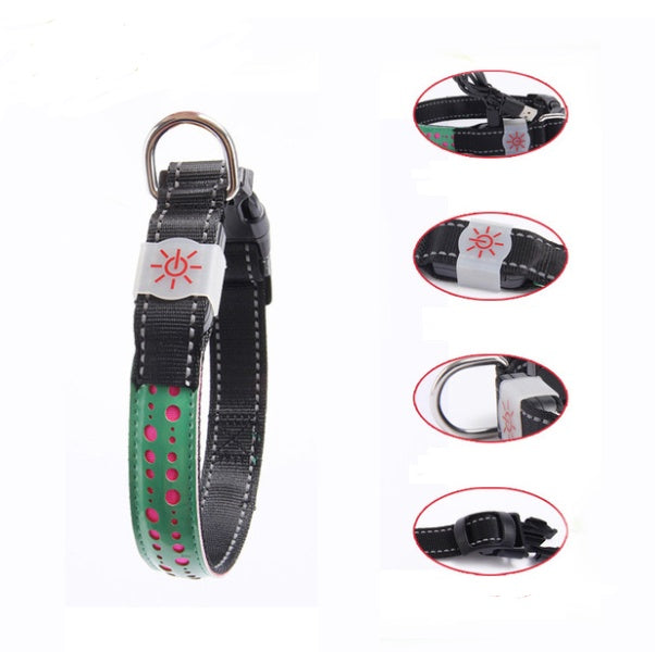 BrightTail LED Collar – Be Seen, Stay Safe