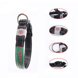 BrightTail LED Collar – Be Seen, Stay Safe