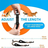 Durable Two-Dog Traction Belt for Comfortable Walks