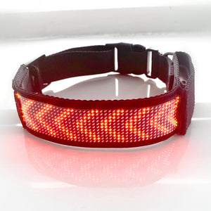 Luminous LED Dog Harness – Personalized Display for Safety